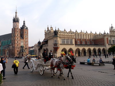 przewodnik Pawe� Krupa