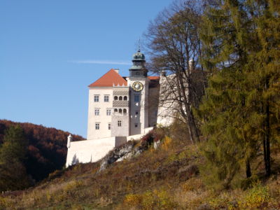 przewodnik Pawe� Krupa